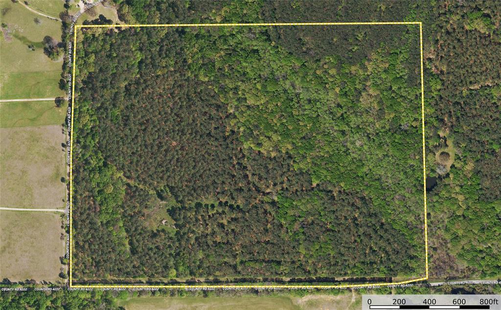 Tract 7 County Road 4221 Property Photo 31