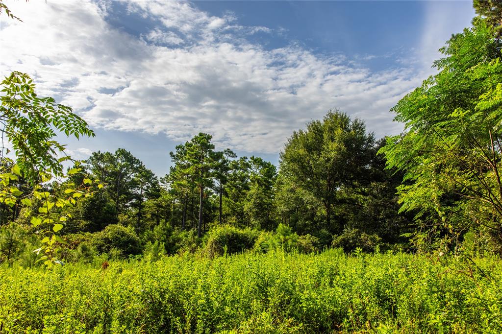 Tract 8 County Road 4221 Property Photo 6