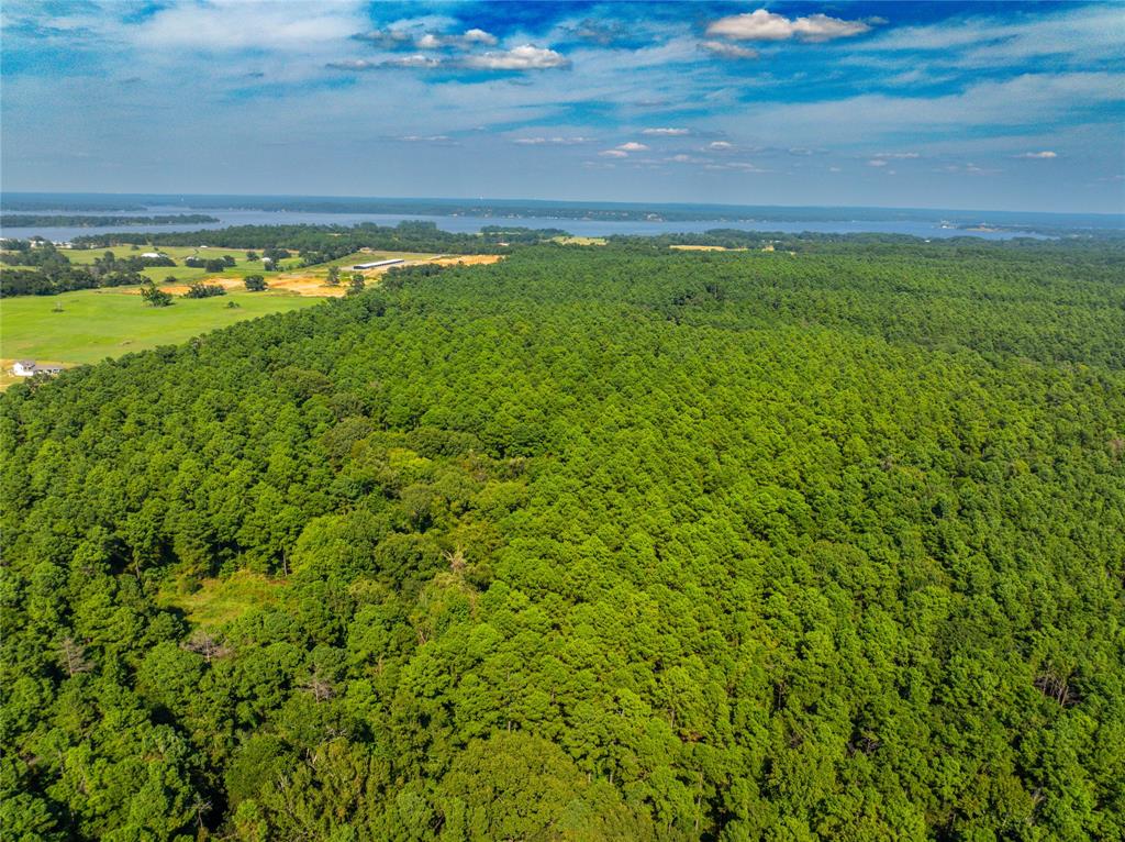 Tract 8 County Road 4221 Property Photo 17