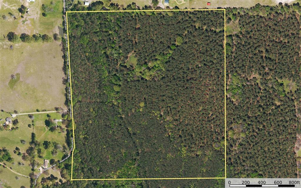Tract 8 County Road 4221 Property Photo 23