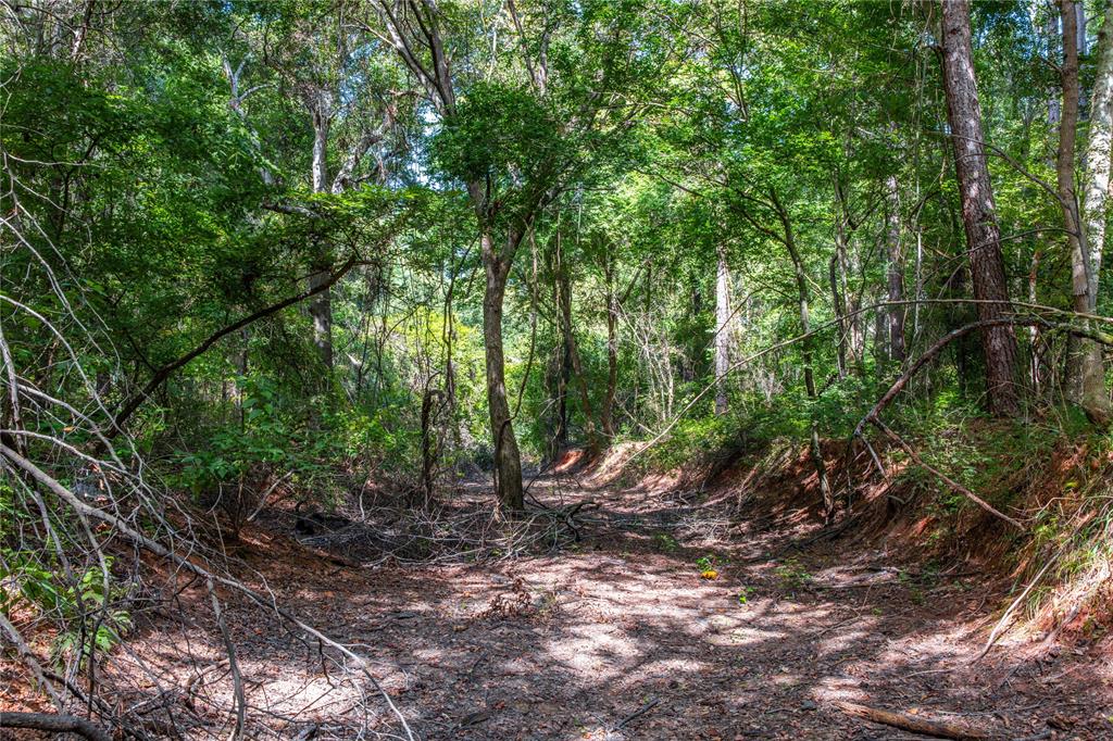 Tract 10 County Road 4222 Property Photo 4