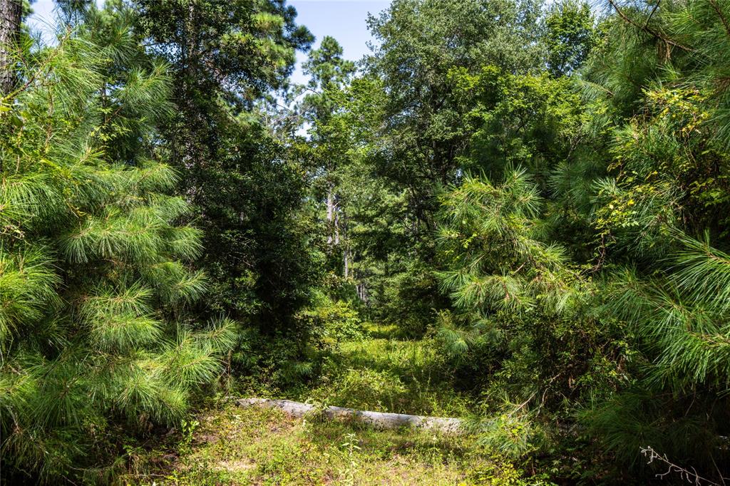 Tract 10 County Road 4222 Property Photo 11
