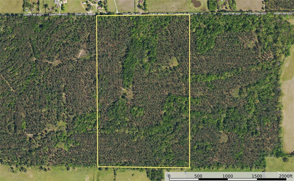 Tract 10 County Road 4222 Property Photo 27