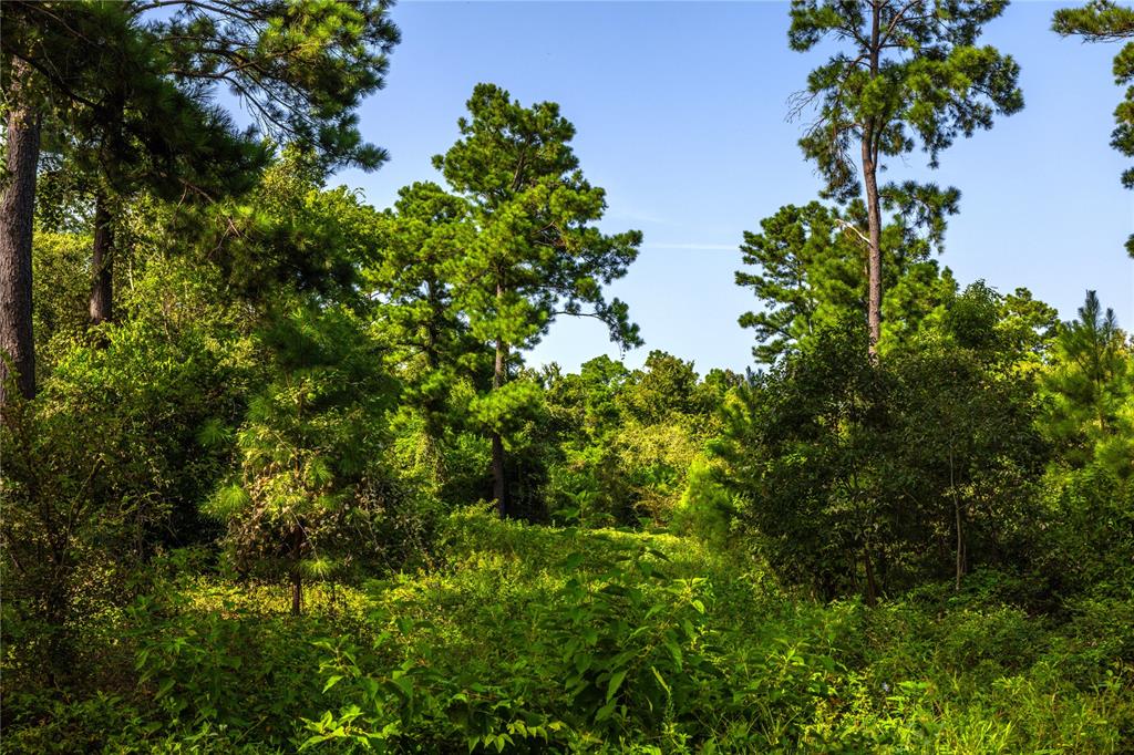 Tract 11 County Road 4222 Property Photo 12