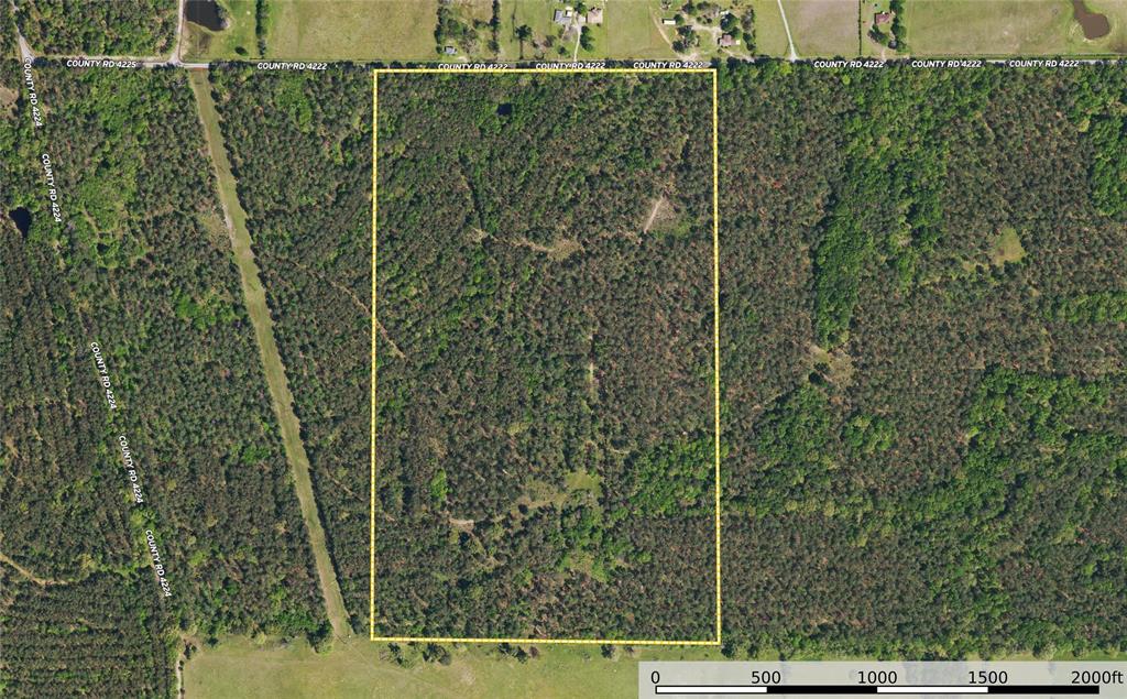 Tract 11 County Road 4222 Property Photo 24