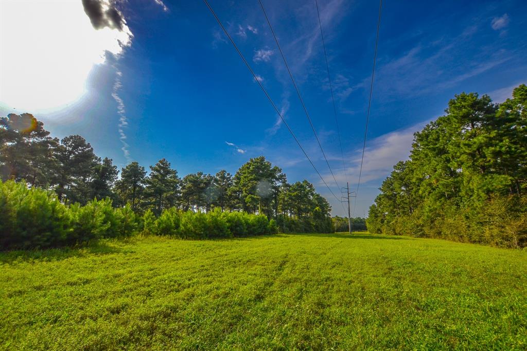 Tract 14 County Road 4224 Property Photo 5