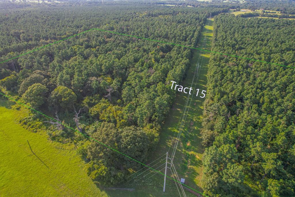 Tract 15 County Road 4224 Property Photo 1