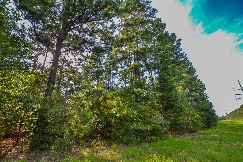 Tract 15 County Road 4224 Property Photo 6