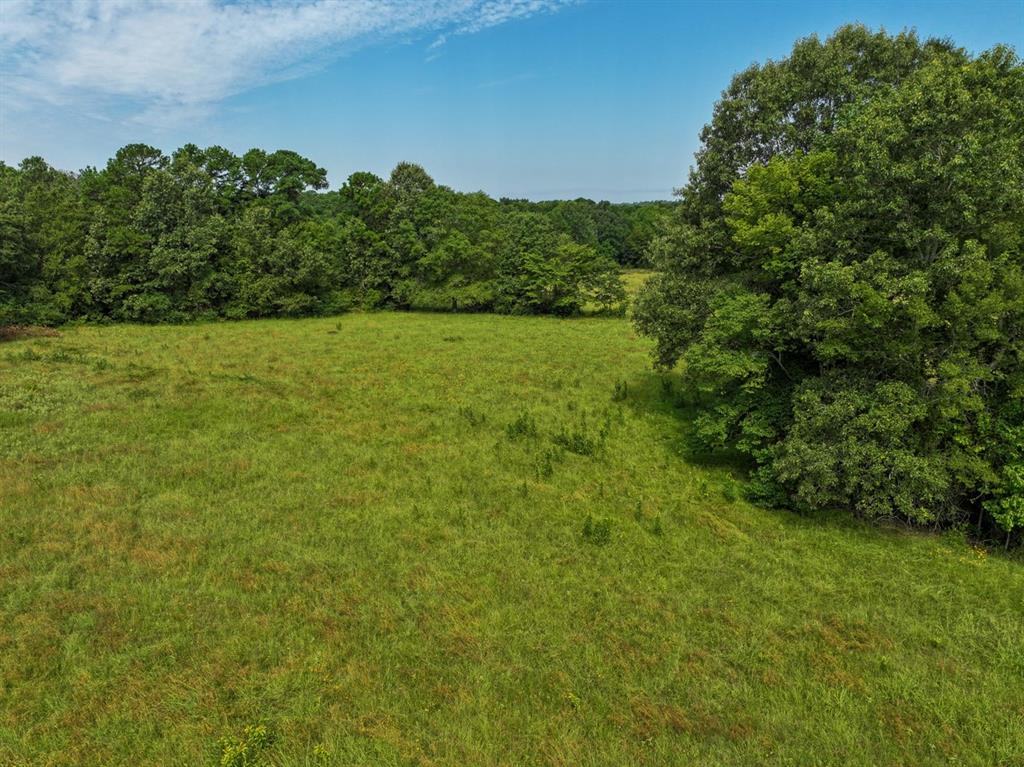 01 Fm 2867 Property Photo 5