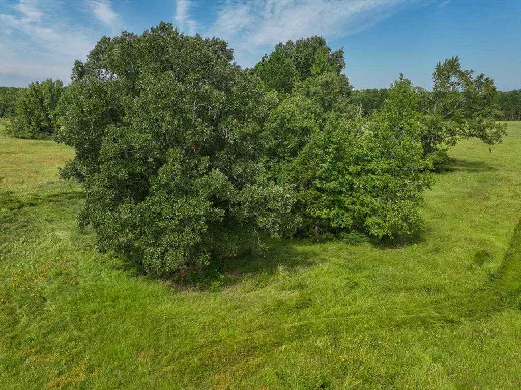 01 Fm 2867 Property Photo 9