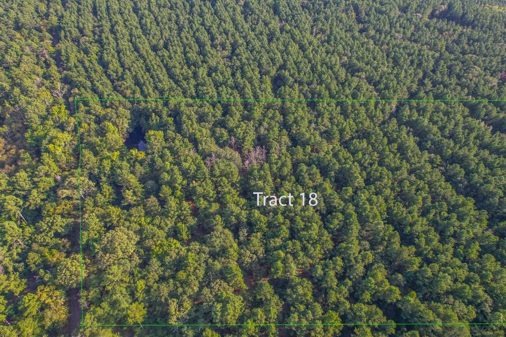 Tract 18 County Road 4224 Property Photo 1