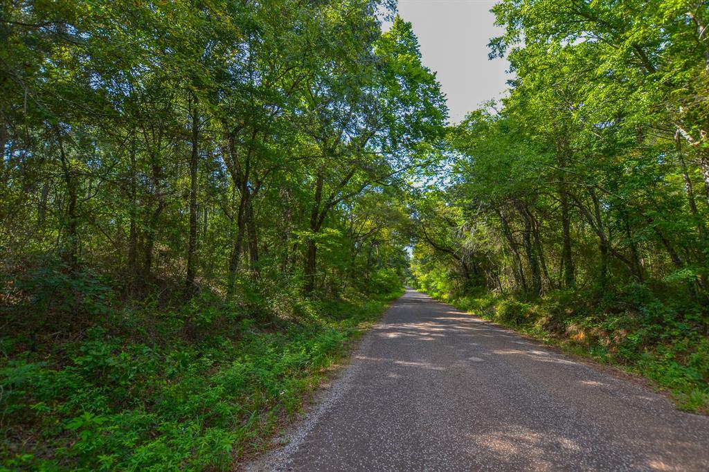 Tract 18 County Road 4224 Property Photo 4