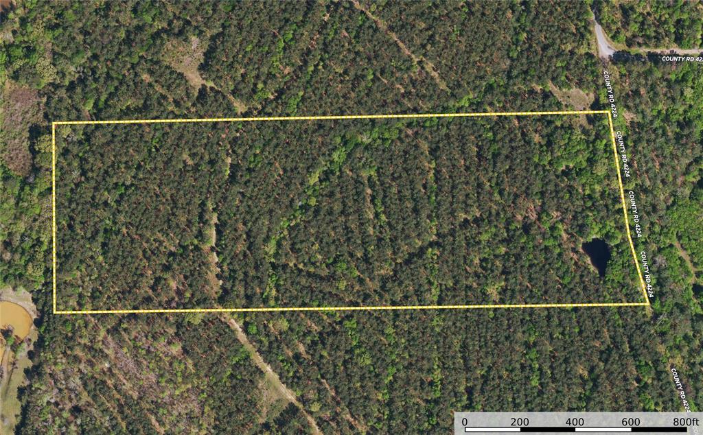 Tract 18 County Road 4224 Property Photo 10