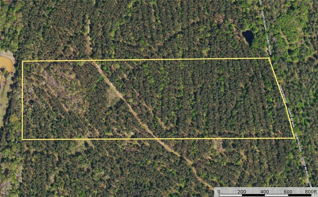 Tract 19 County Road 4224 Property Photo 9