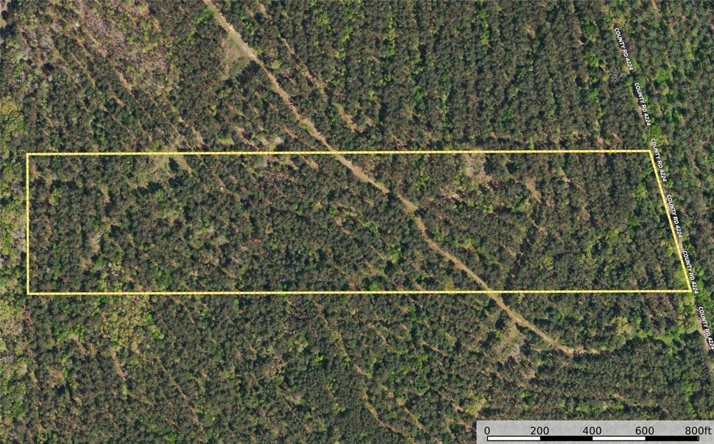 Tract 20 County Road 4224 Property Photo 10