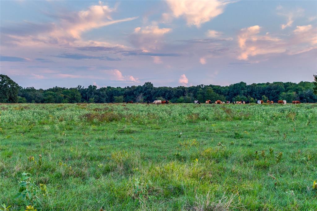 0000 Cr 1105 Property Photo 15