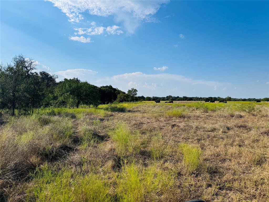 13301 County Road 291 Property Photo