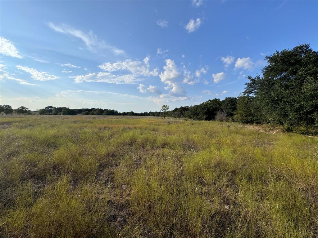 13301 County Road 291 Tract 1 Property Photo 2