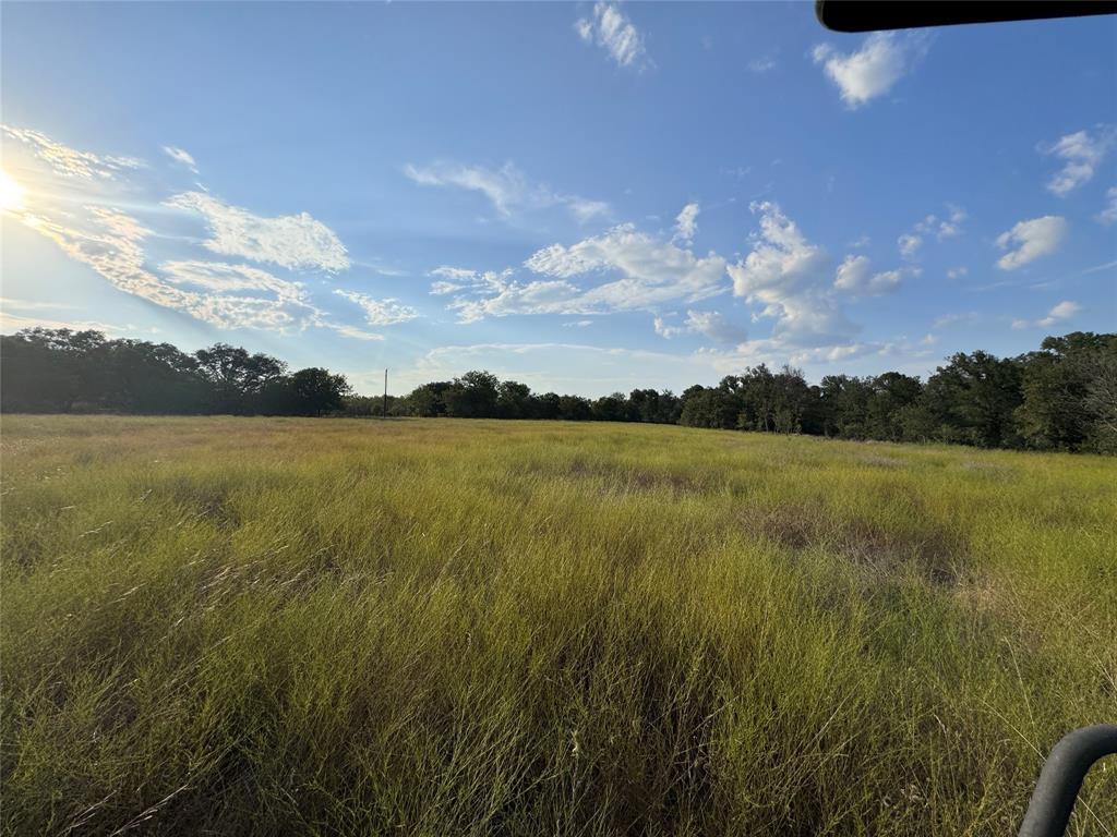 13301 County Road 291 Tract 1 Property Photo 3