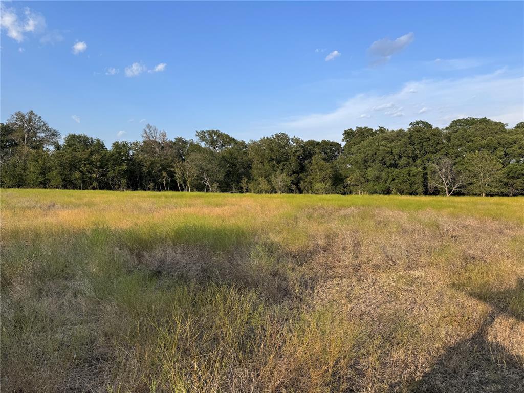 13301 County Road 291 Tract 1 Property Photo 5