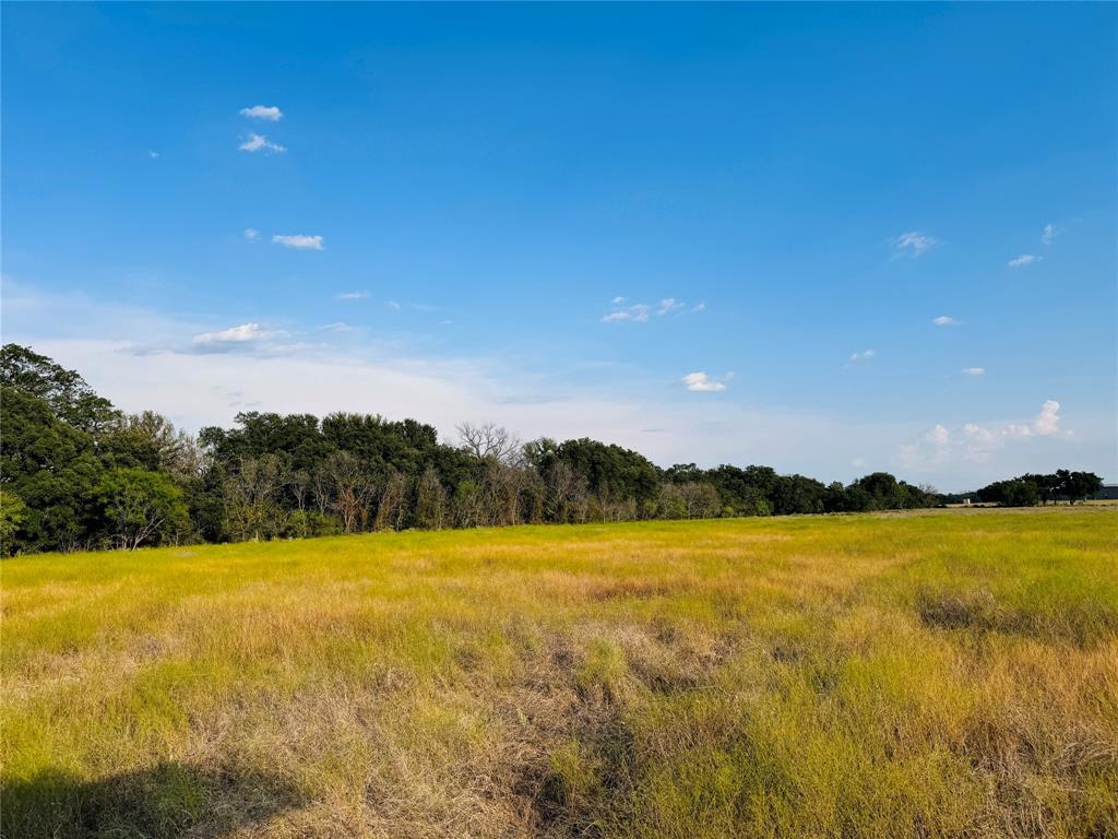 13301 County Road 291 Tract 1 Property Photo 6
