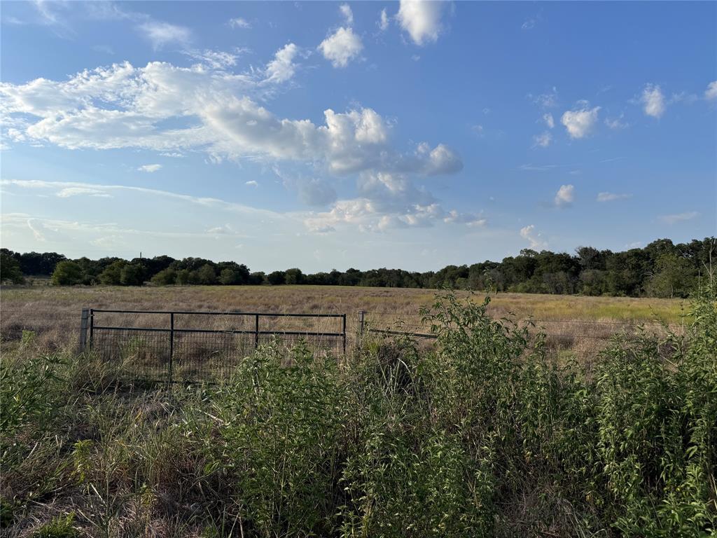 13301 County Road 291 Tract 1 Property Photo 7
