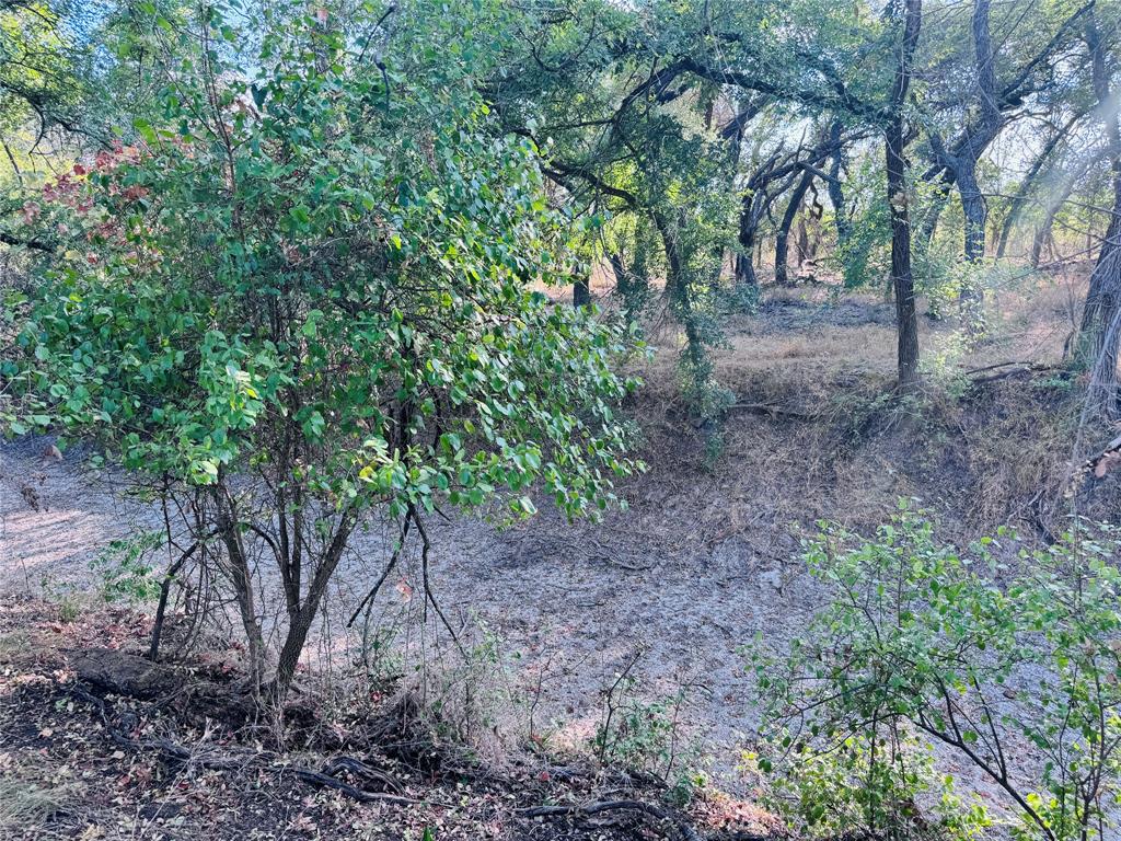 13301 County Road 291 Tract 1 Property Photo 10