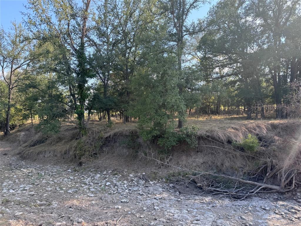 13301 County Road 291 Tract 1 Property Photo 15