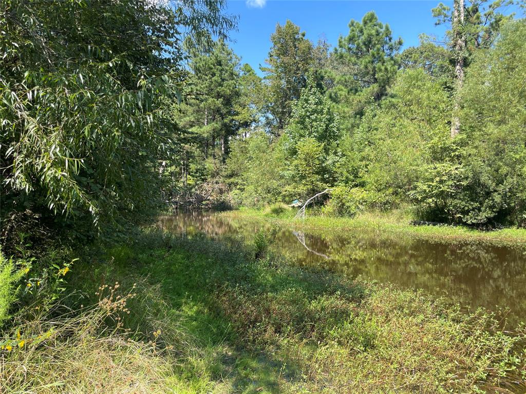 0 County Road 305 Property Photo 8