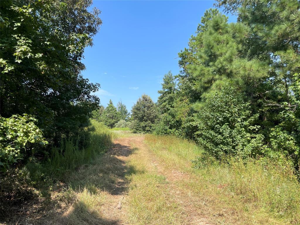 0 County Road 305 Property Photo 13