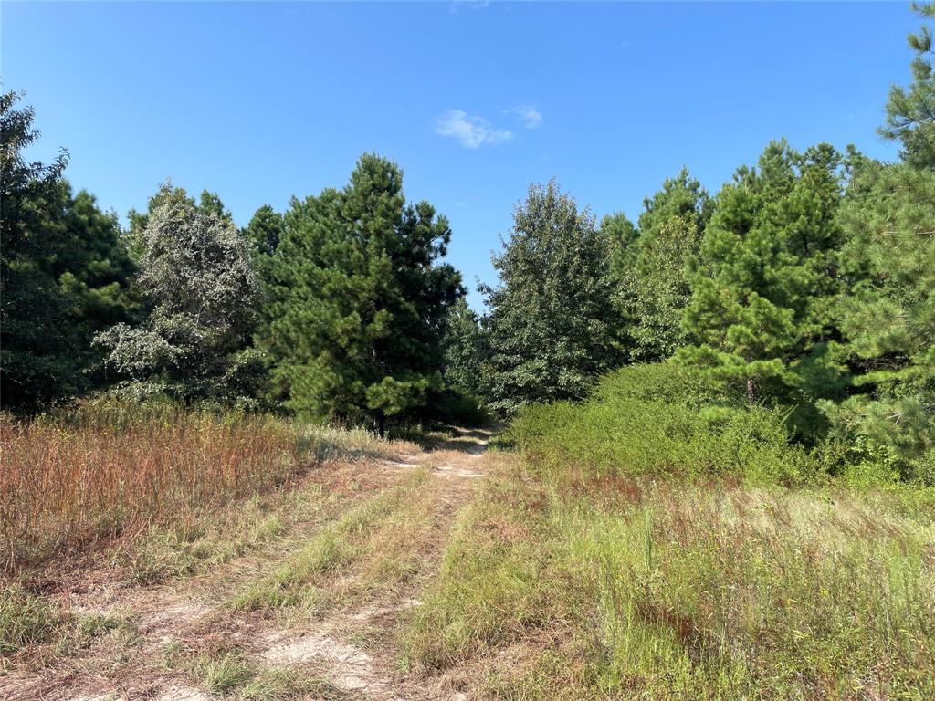 0 County Road 305 Property Photo 14