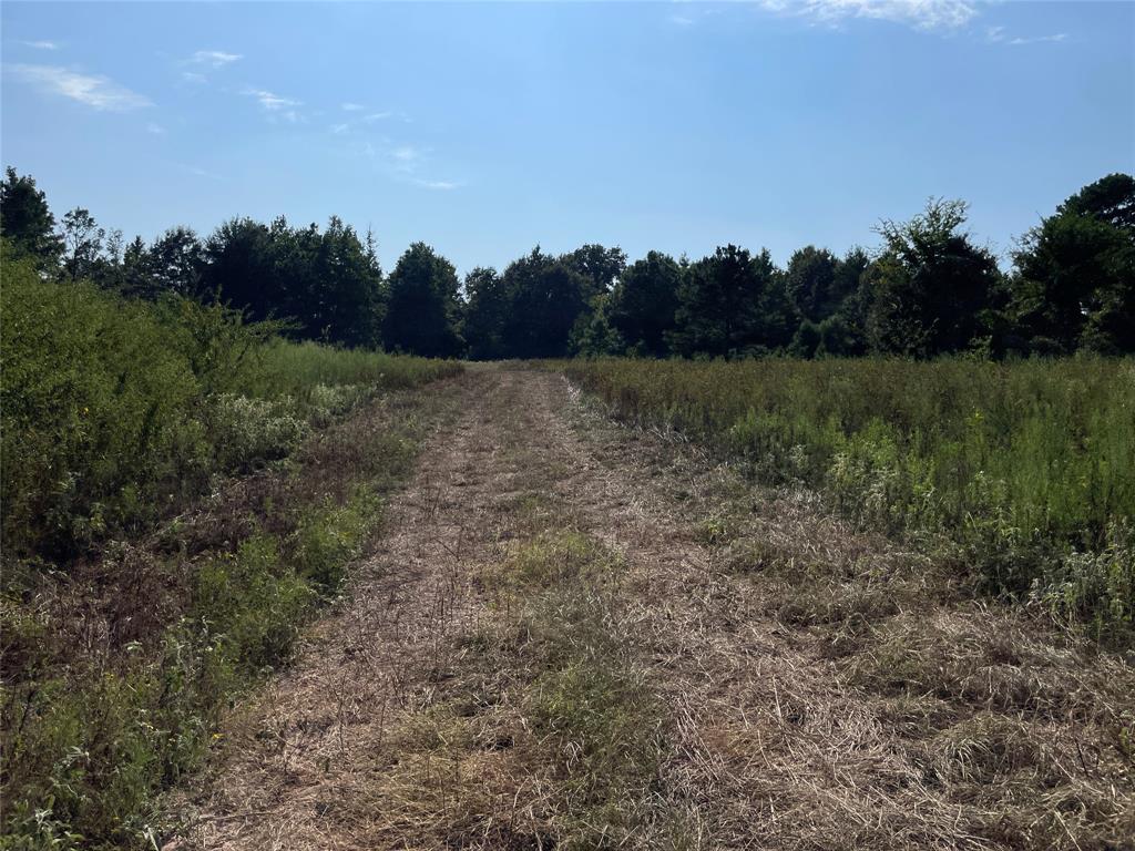 0 County Road 305 Property Photo 16