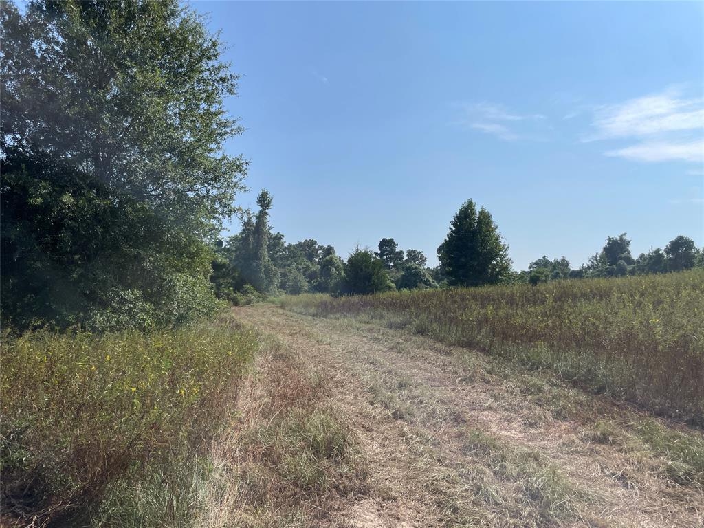 0 County Road 305 Property Photo 17