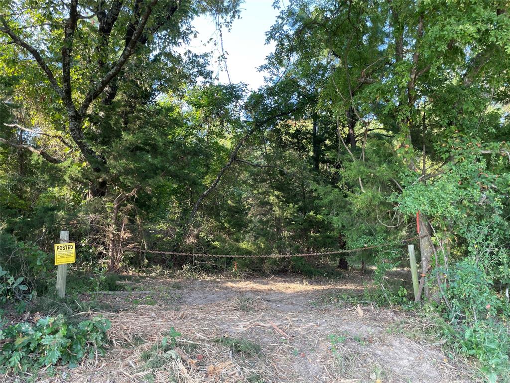 0 County Road 305 Property Photo 24