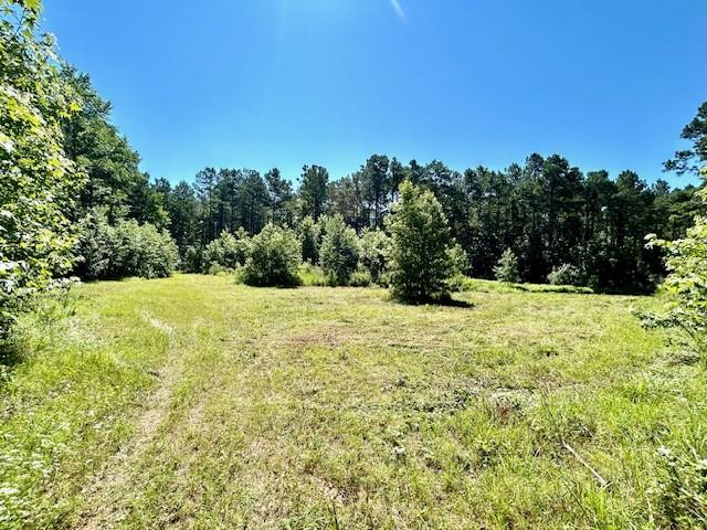 75 Acres Highway 37