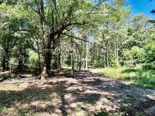 75 Acres Highway 37 Property Photo 1
