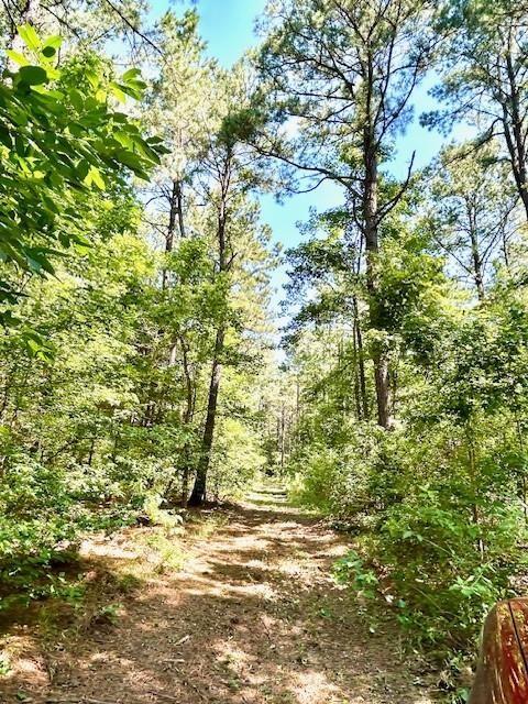 75 Acres Highway 37 Property Photo 2