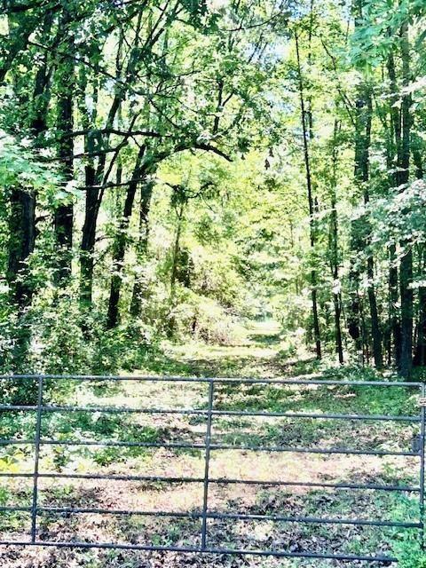 75 Acres Highway 37 Property Photo 3