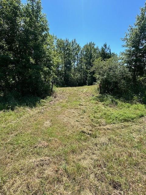 75 Acres Highway 37 Property Photo 4