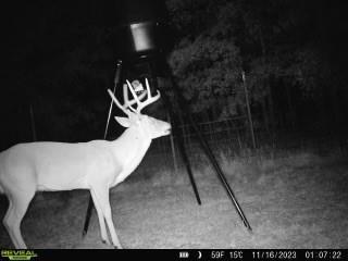 75 Acres Highway 37 Property Photo 6