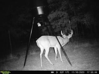 75 Acres Highway 37 Property Photo 9