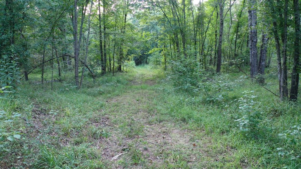 0 Cr 3612 Property Photo 4