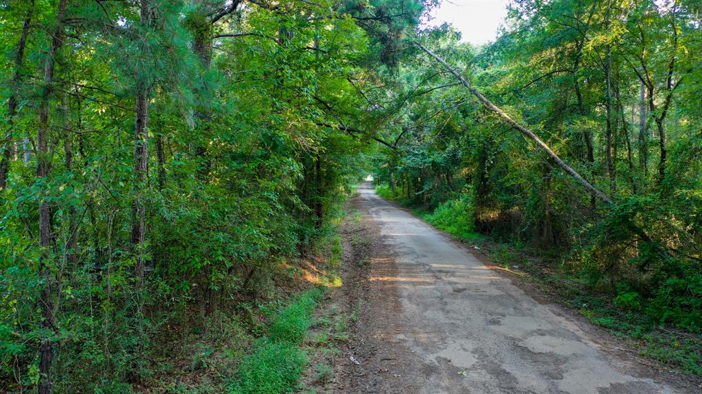 0 Cr 3612 Property Photo 9