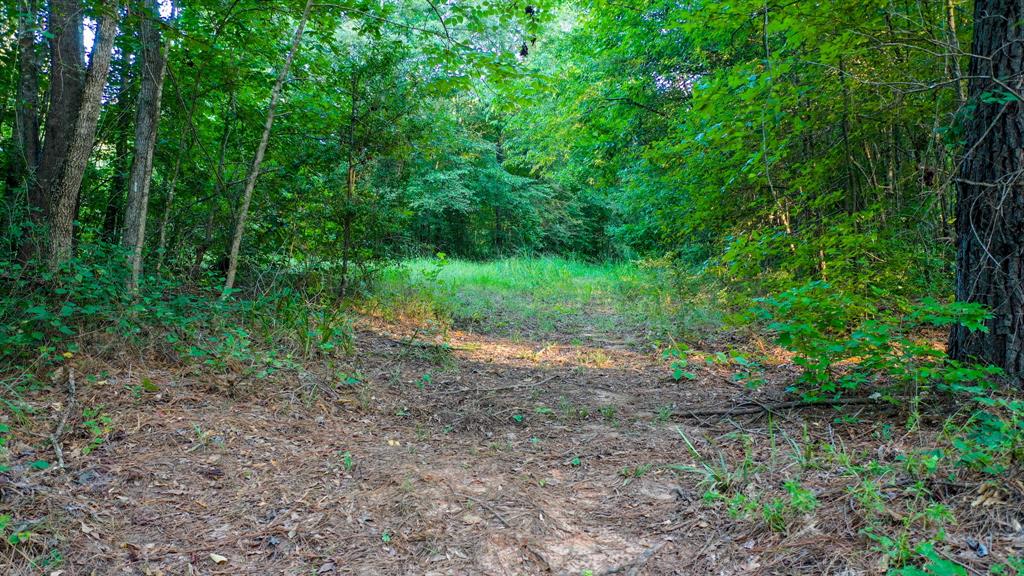 0 Cr 3612 Property Photo 11