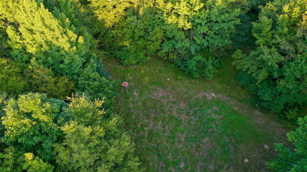 0 Cr 3612 Property Photo 12