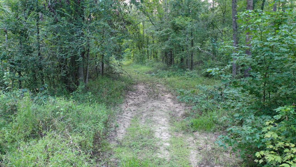 0 Cr 3612 Property Photo 16