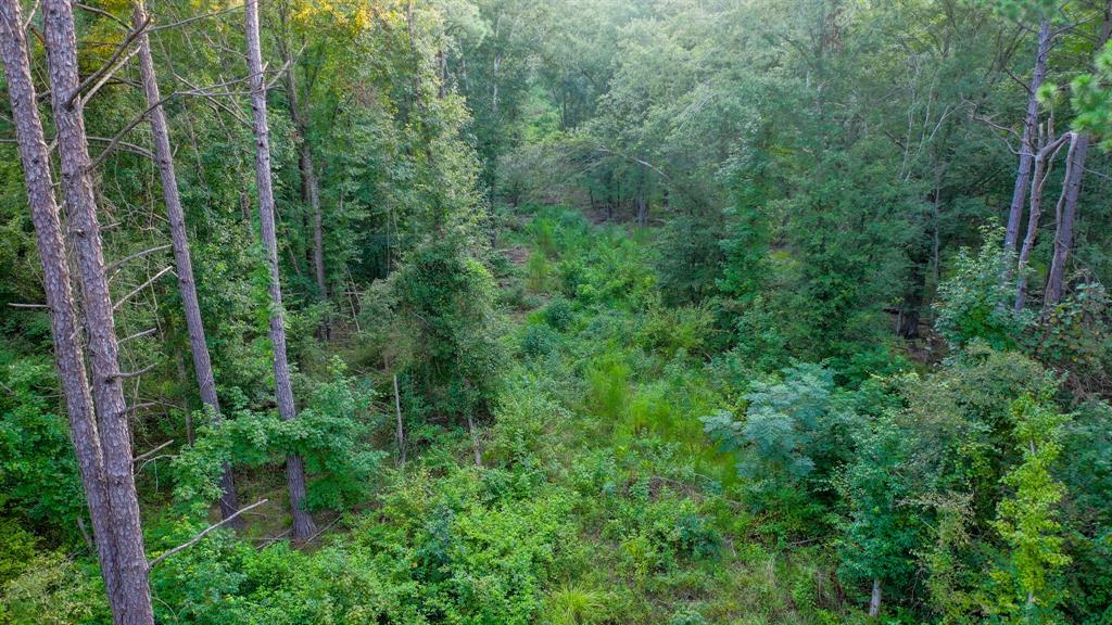 0 Cr 3612 Property Photo 17