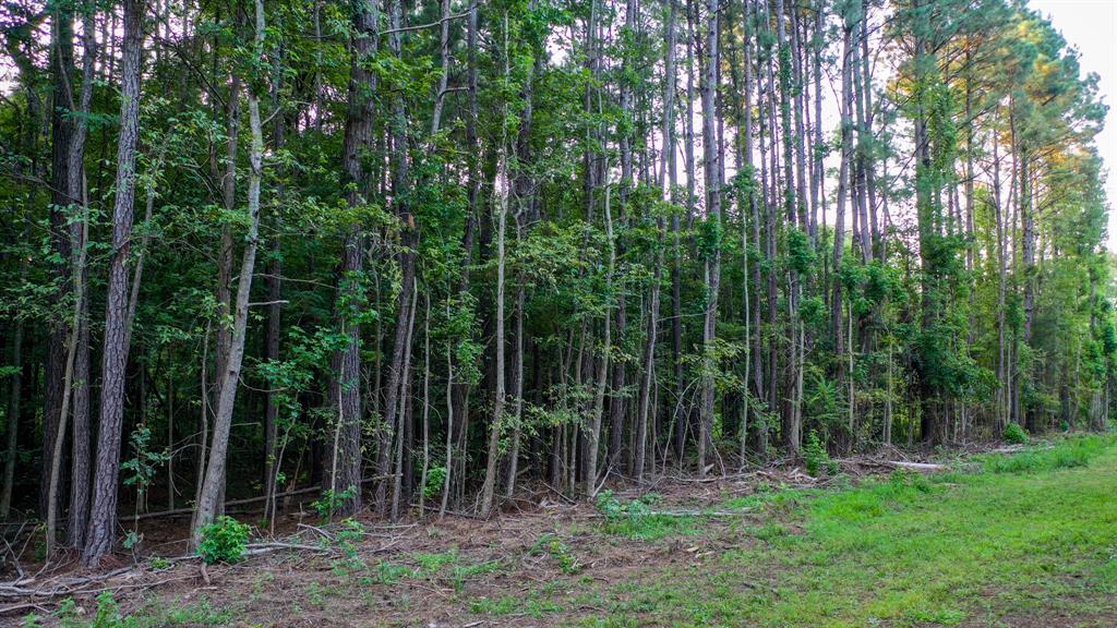 0 Cr 3612 Property Photo 22