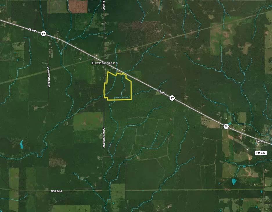0 Hwy 49 Property Photo 3