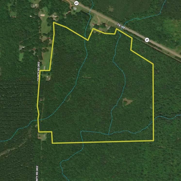 0 Hwy 49 Property Photo 4
